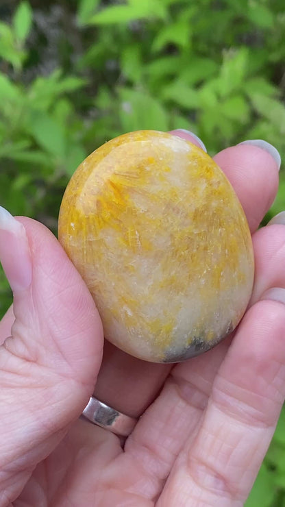 Bumblebee Jasper Palm Stone