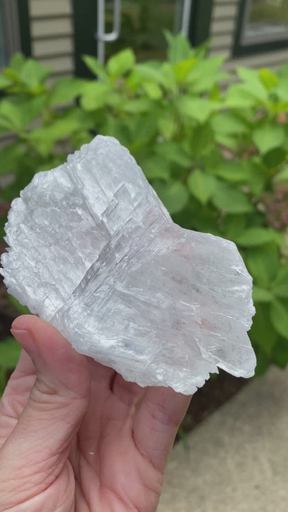 Angel Wing Selenite