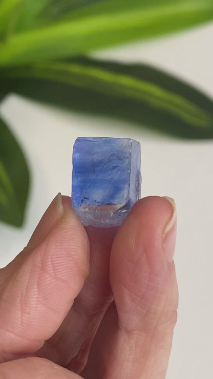 Blue Halite