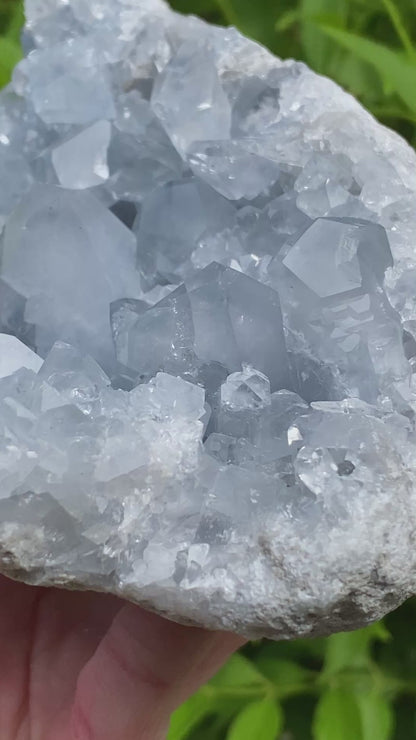 Celestite Geode