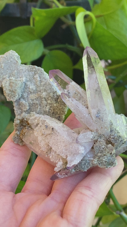 Vera Cruz Amethyst Specimen