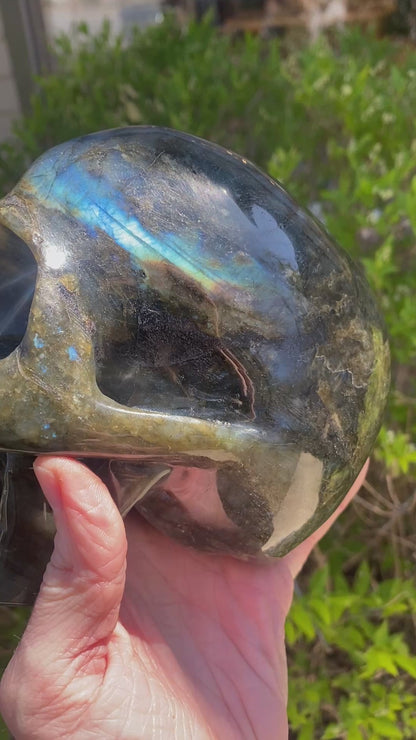 Large Labradorite Skull, Hand-Carved, 6in