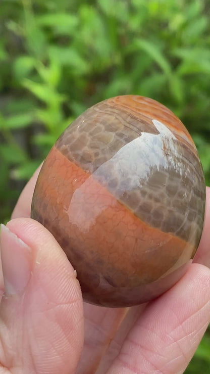 Snakeskin Agate Egg