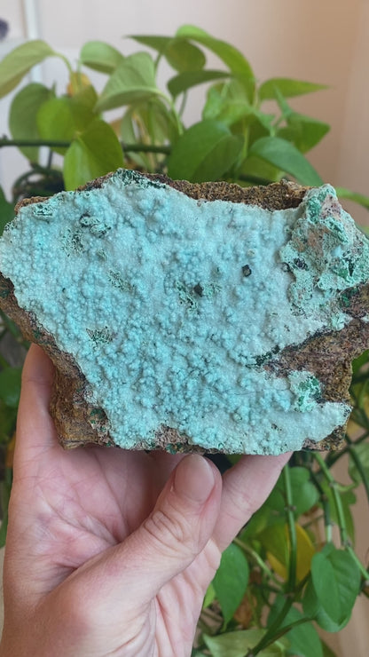 Large Drusy Chrysocolla, DRC