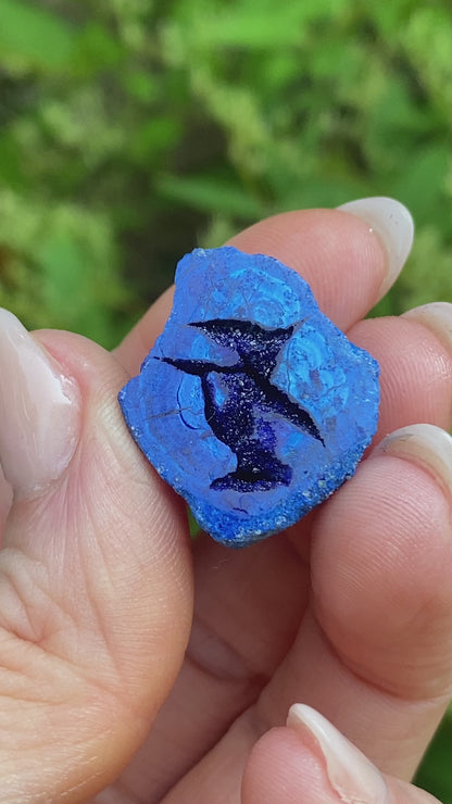 Azurite Blueberry Geode