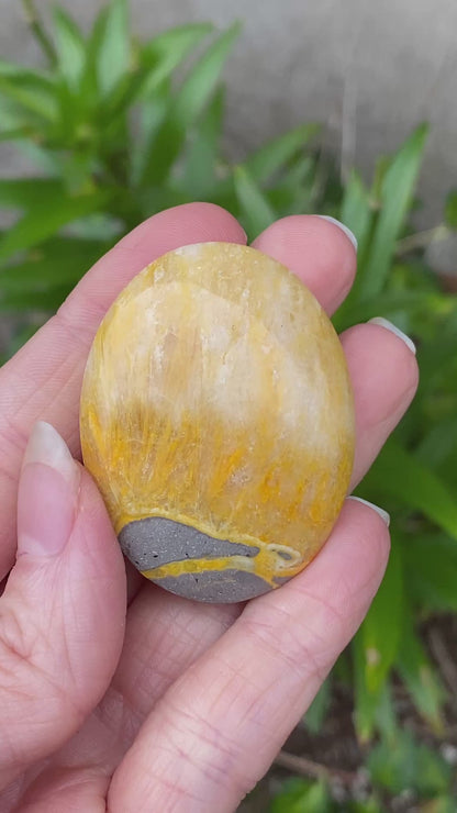 Bumblebee Jasper Palm Stone