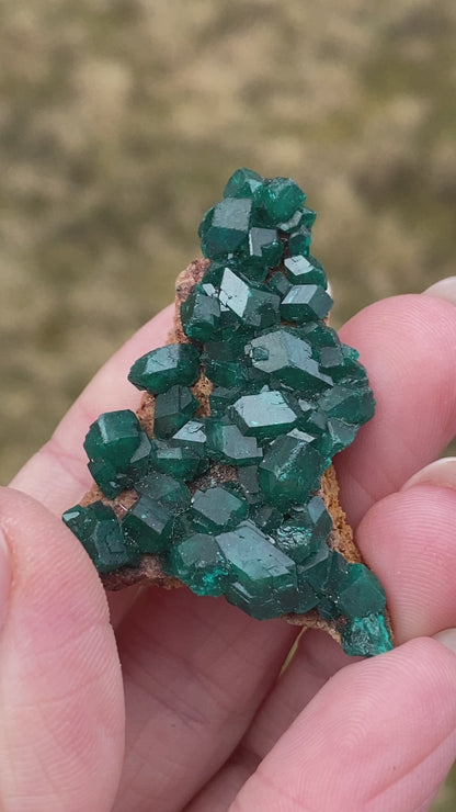 Dioptase Crystal Specimen