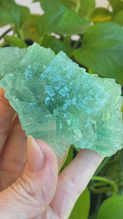 Green Halite Specimen, Halite with Atacamite, Poland