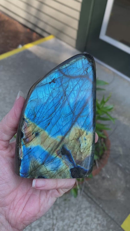 Labradorite Freeform