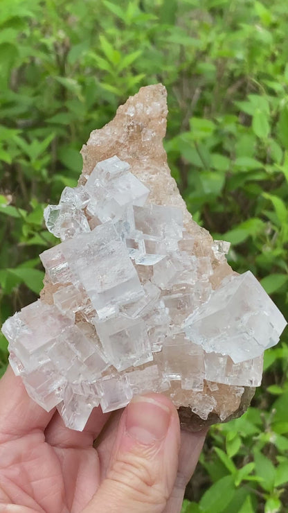 Clear Halite, High Grade, Phantom, Morocco