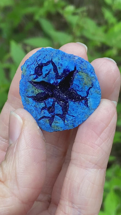 Azurite Geode, Star