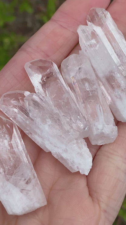 Danburite Crystal