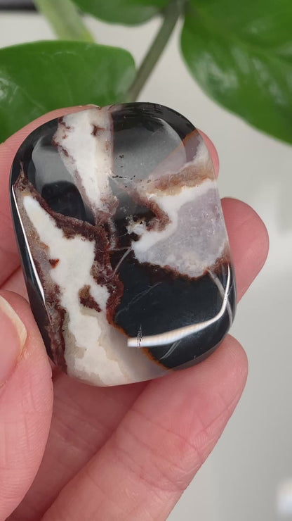 Sardonyx Stone