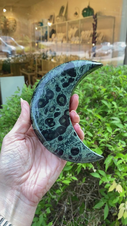 Kambaba Jasper Moon