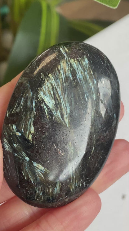 Arfvedsonite Palm Stone