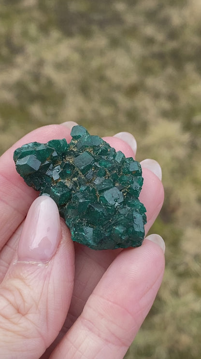 Dioptase Crystal Specimen