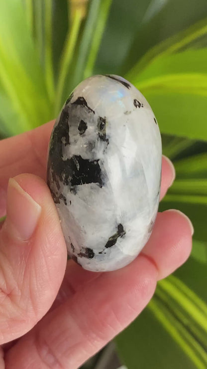 Moonstone Palm stone