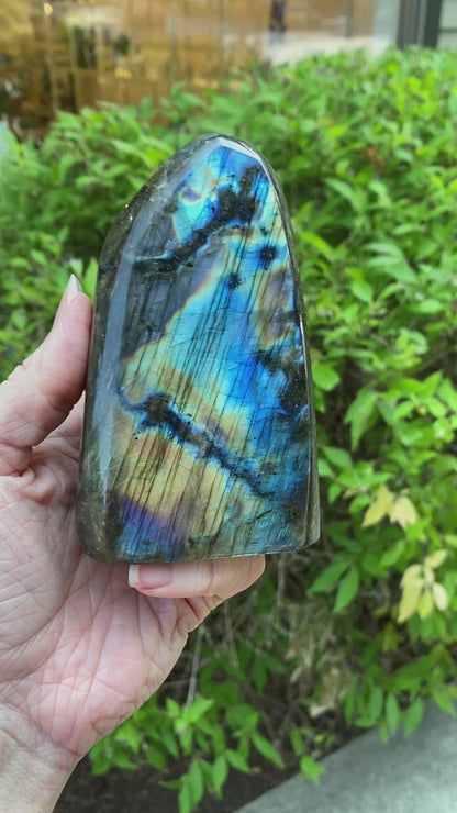 Labradorite Freeform