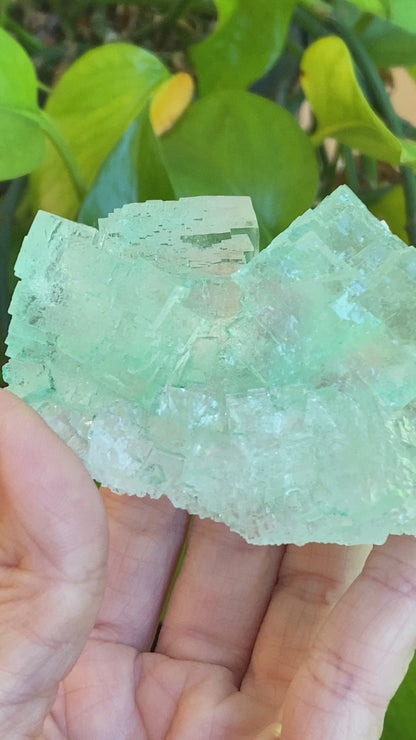 Green Halite Specimen, Halite with Atacamite, Poland