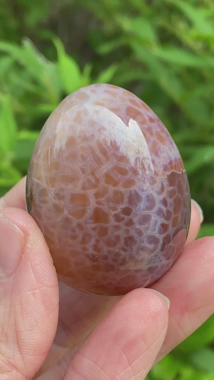 Snakeskin Agate Egg