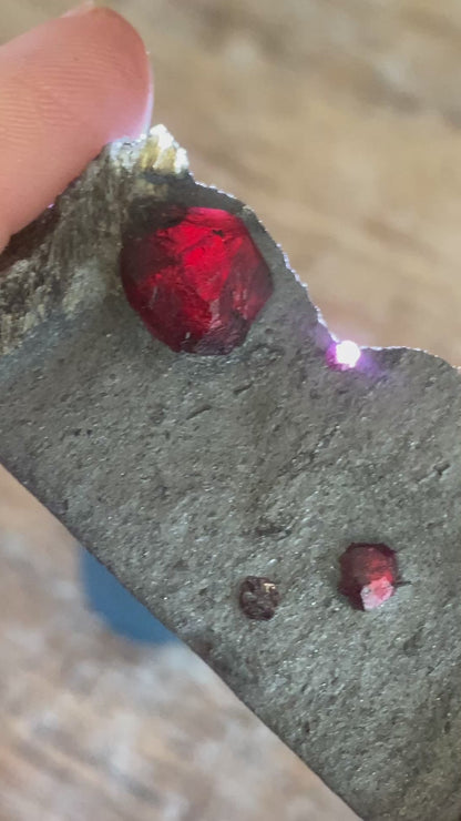 Garnet in Graphite, Red Embers Mine Massachusetts