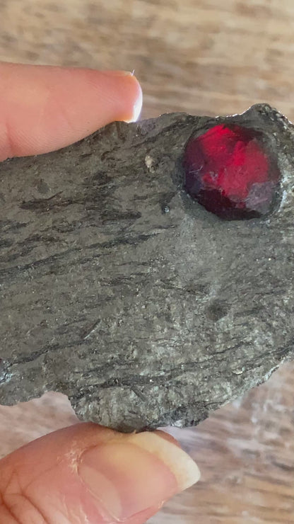 Garnet in Graphite, Red Embers Mine Massachusetts