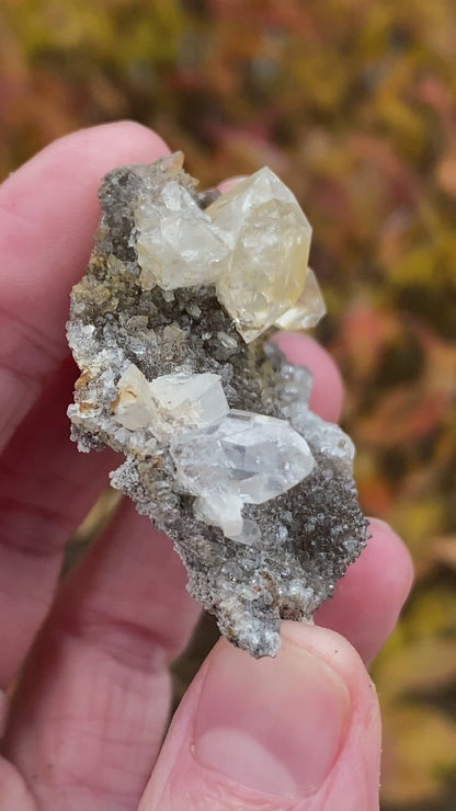Herkimer Diamond in Matrix