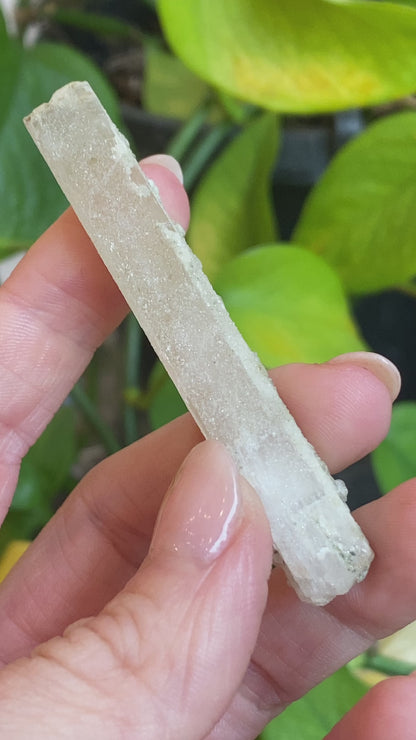 Rare Natrolite Crystal Specimen, Chimney Rock, New Jersey, 1973