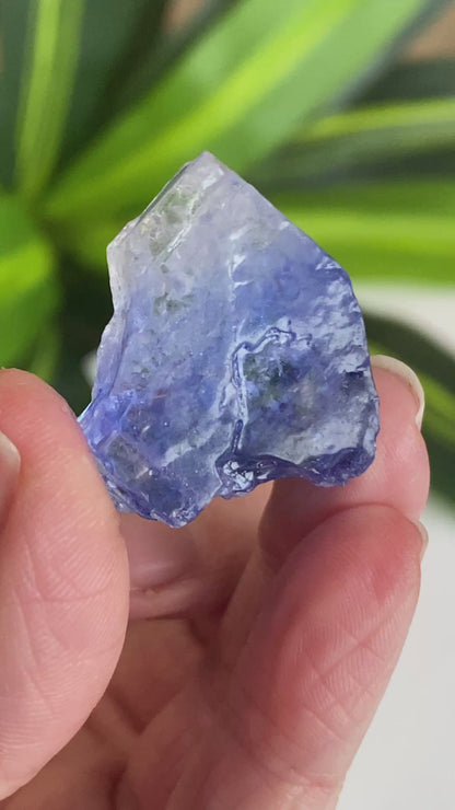 Blue Halite
