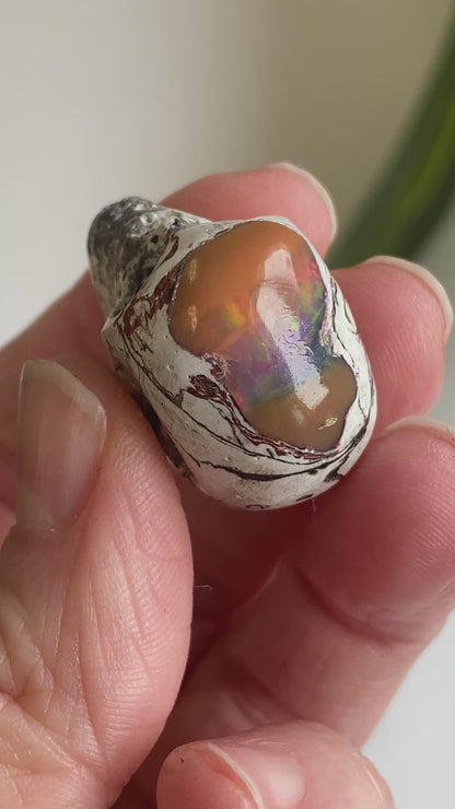 Ethiopian Opal Skull