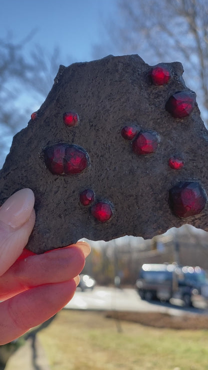 Garnet in Graphite Specimen from Massachusetts, Single Mine Material