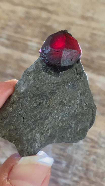 Garnet in Graphite, Red Embers Mine Massachusetts