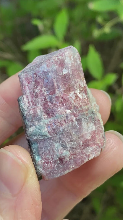 Rough Pink Tourmaline with Mica, Paribas