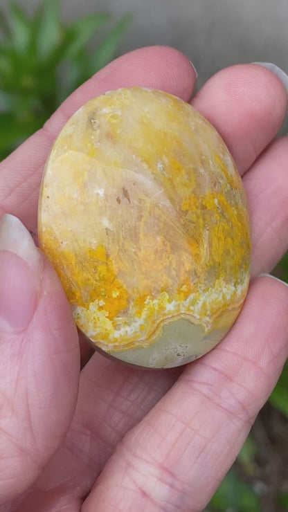 Bumblebee Jasper Palm Stone