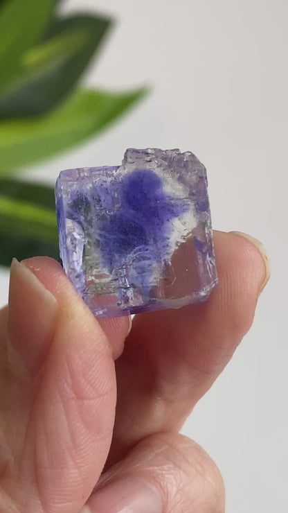 Blue Halite