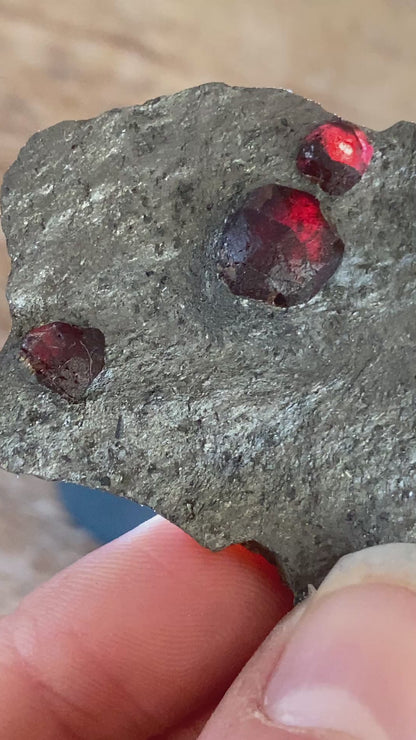 Garnet in Graphite, Red Embers Mine Massachusetts
