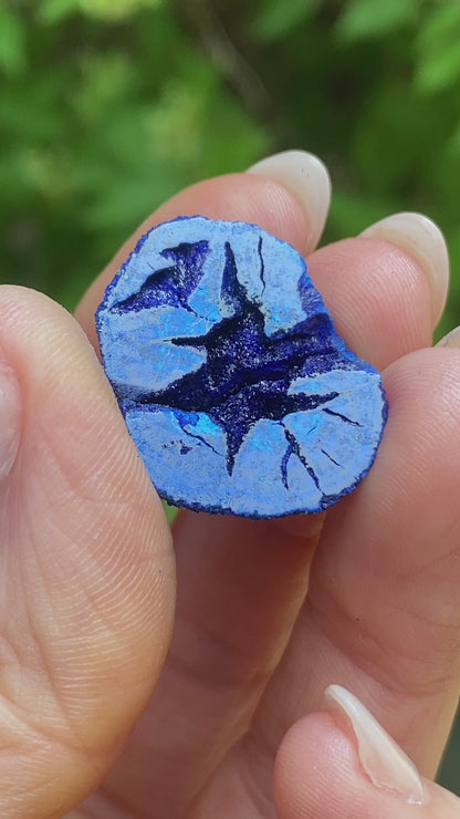 Azurite Blueberry Geode