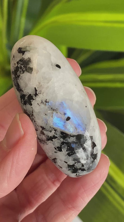 Moonstone Palm stone