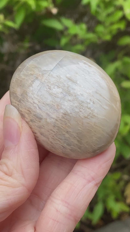 Black Moonstone Palm Stone, Gray Moonstone