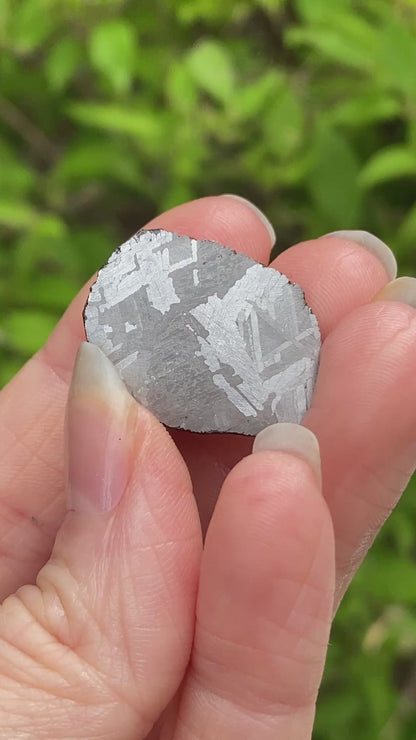 Mundrabilla Meteorite End Cut