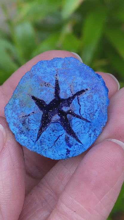 Azurite Geode, Star
