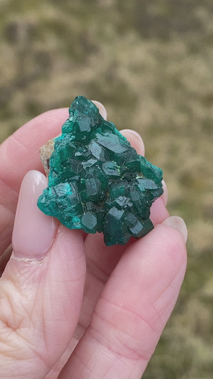 Dioptase Crystal Specimen