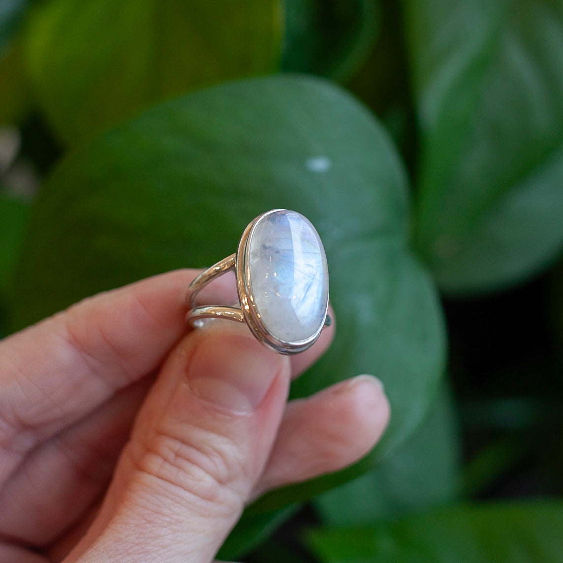 Rainbow Moonstone Ring, Sterling Silver, Size 8
