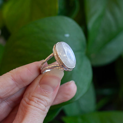 Rainbow Moonstone Ring, Sterling Silver, Size 8