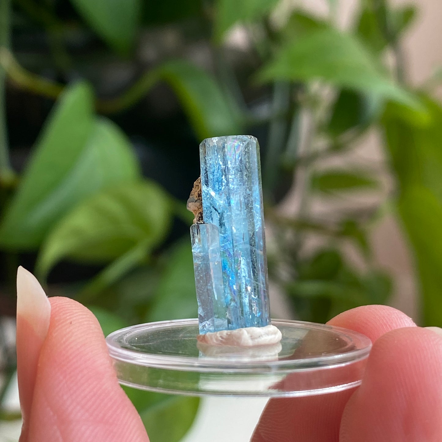 Aquamarine Specimen, Mozambique, Sky Blue