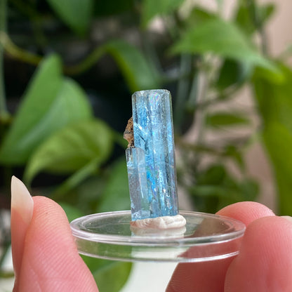 Aquamarine Specimen, Mozambique, Sky Blue