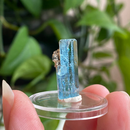 Aquamarine Specimen, Mozambique, Sky Blue