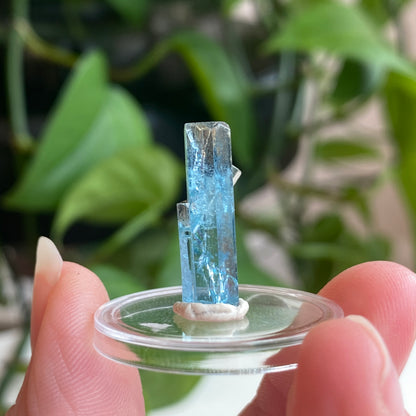 Aquamarine Specimen, Mozambique, Sky Blue