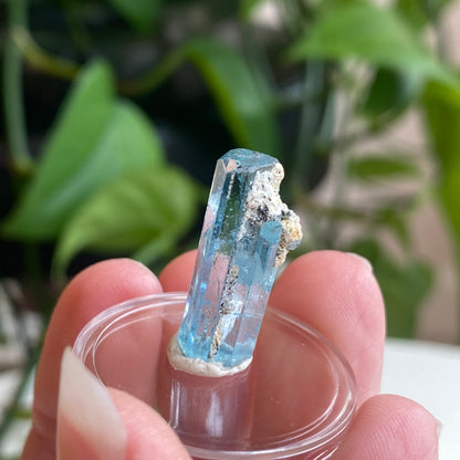 Aquamarine Specimen, Mozambique, Sky Blue