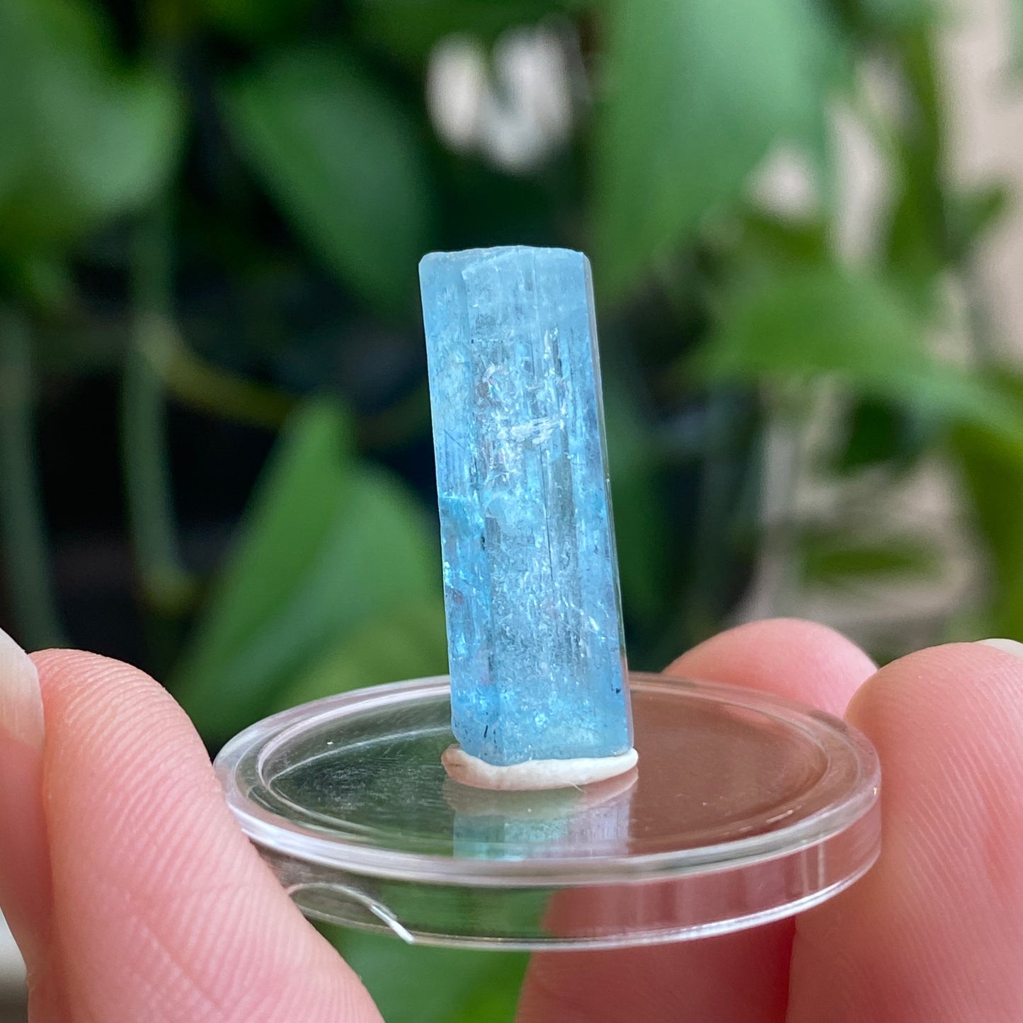 Aquamarine Specimen, Mozambique, Sky Blue